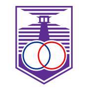 德芬索后备队